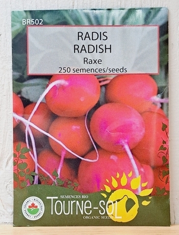 SEEDS - Radish Raxe (Tourne-sol)